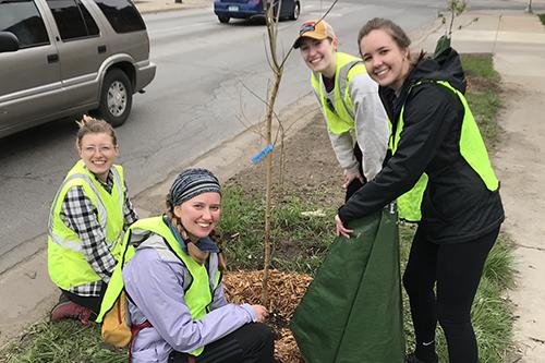 Students gathered around a young tree in reflective vests