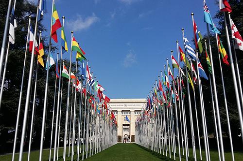 lawn lined with international flags